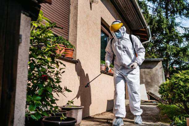 Best Best Pest Control Companies  in Estelle, LA