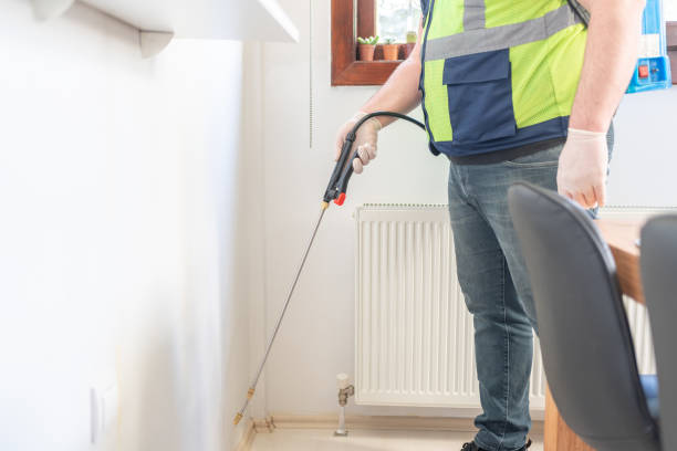 Best Termite Control Services  in Estelle, LA
