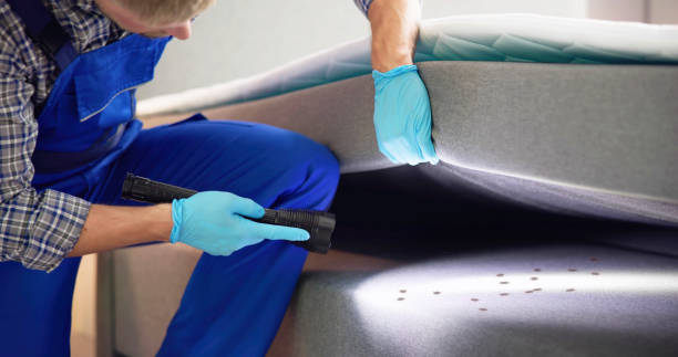 Best Pest Control Near Me  in Estelle, LA