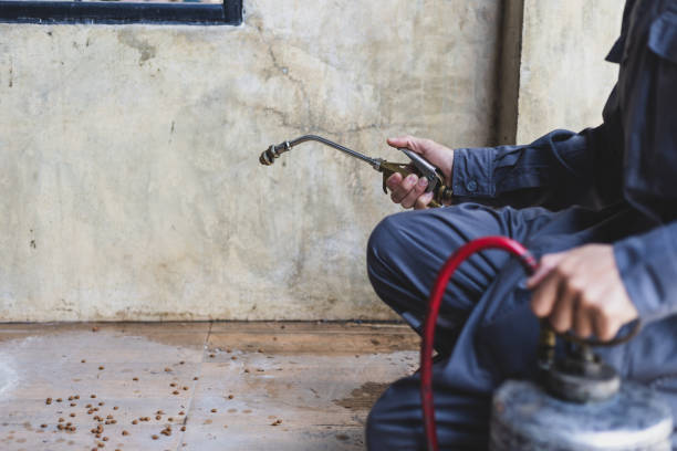 Pest Control for Restaurants in Estelle, LA